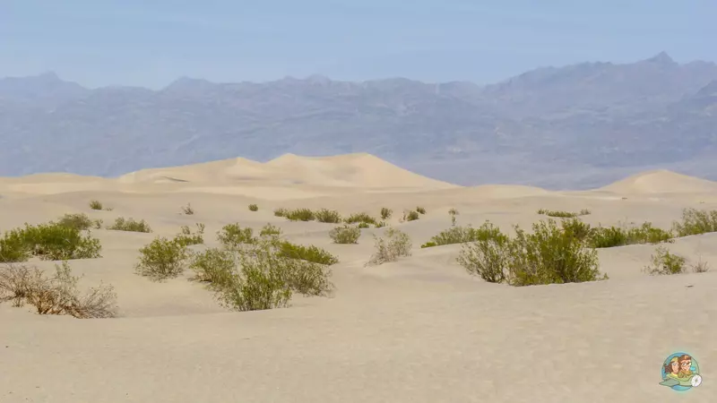 Dunas Death , que ver en el Valle de la Muerte