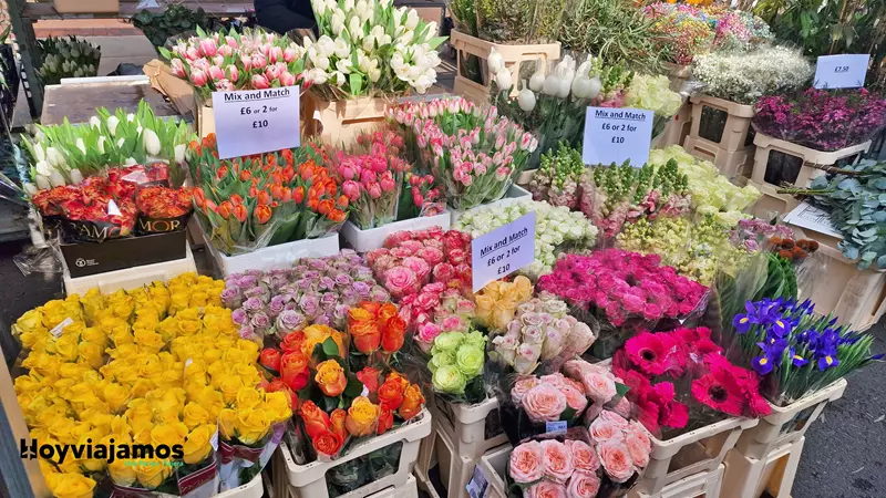 Columbia Road Flower Market Londres, Hoy Viajamos