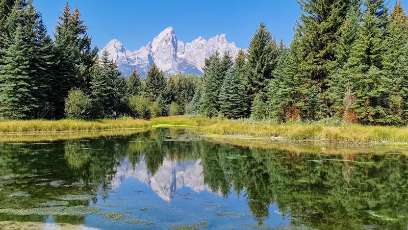 Qué ver en Grand Teton en dos días