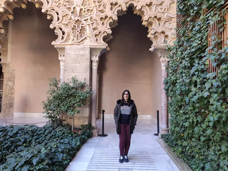 Jardín vertical Palacio de la Aljafería