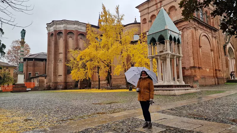 Donde dormir en Bolonia, mejores zonas y hoteles: Una guía para dormir barato y bien