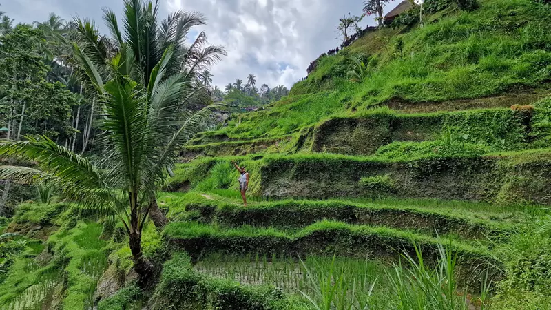 Tegalagan Terrace, ruta por Indonesia
