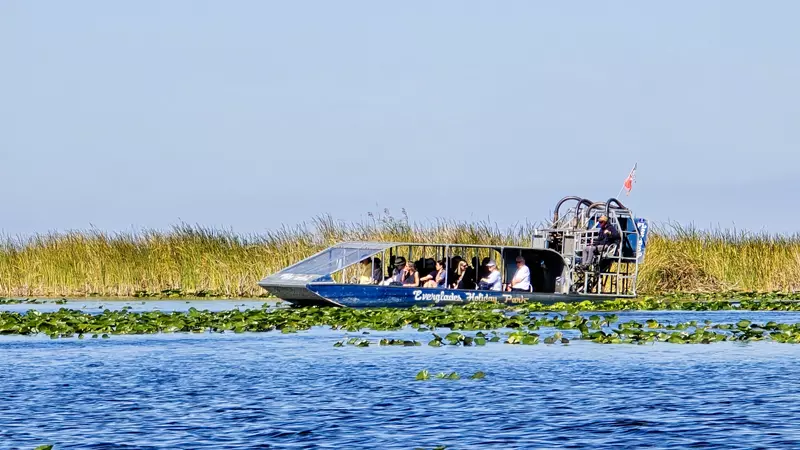 Everglades, Ruta por Florida de 8 días