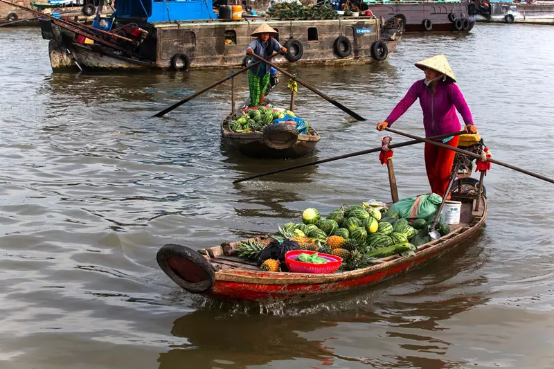 Delta de Mekong, Mejores seguros de viaje para Vietnam