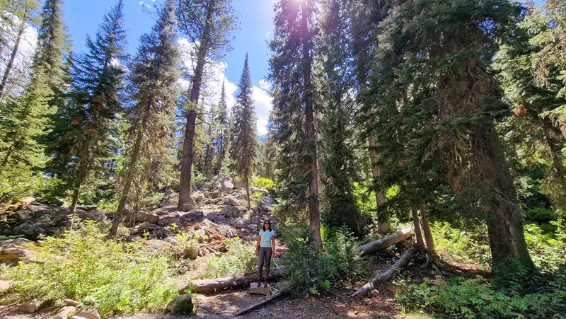 parque nacional grand teton hoy viajamos blog de viajes
