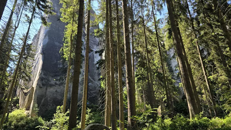Bosque Las Rocas Adršpach-Teplice, hoy viajamos