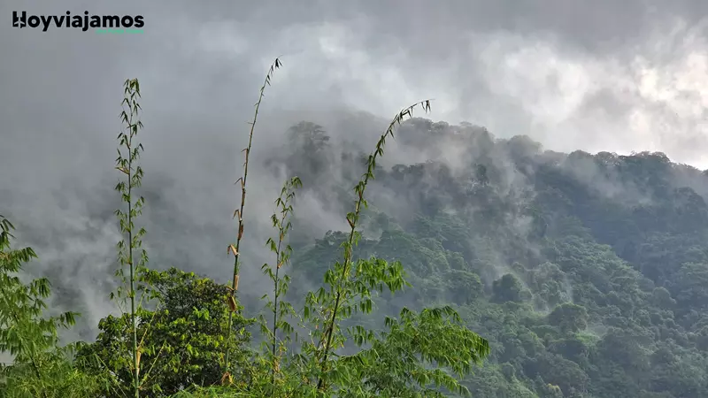 Amanecer en Minca, Hoy Viajamos