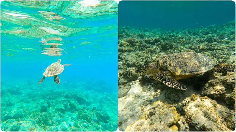 Snorkel en Gili Air, Ruta por Indonesia