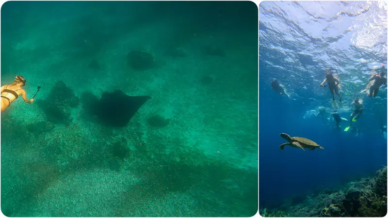 Buceo en Komodo, ruta por Indonesia