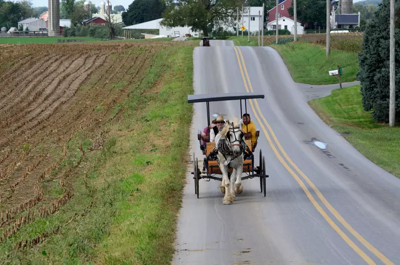 Carro Amish, qué ver en Lancaster Estados Unidos