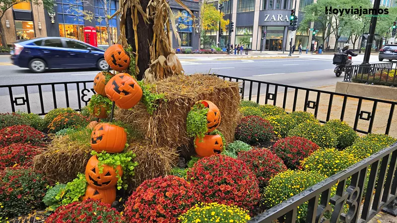 Jardineras con decoraciones de Halloween en las calles de Chicago durante el mes de octubre