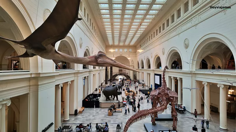 Interior del Field Museum de Chicago con sus espacios expositivos dedicados a la historia natural