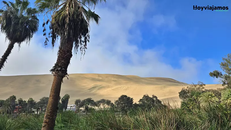 Palmeras Huacachina duna oasis hoy viaajamos