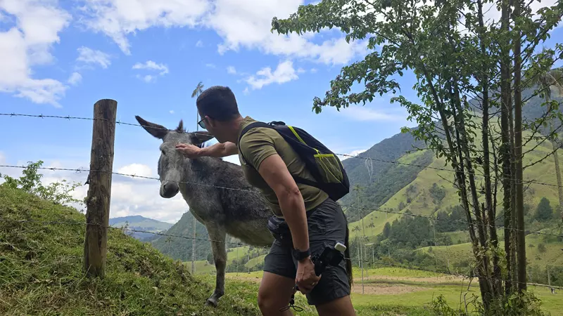 Fauna del Valle del Cocora, Eje Cafetero, Hoy Viajamos