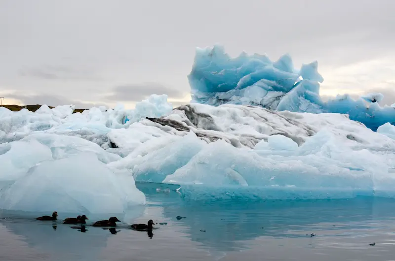 Jokursarlon, Ruta por Islandia de 15 días