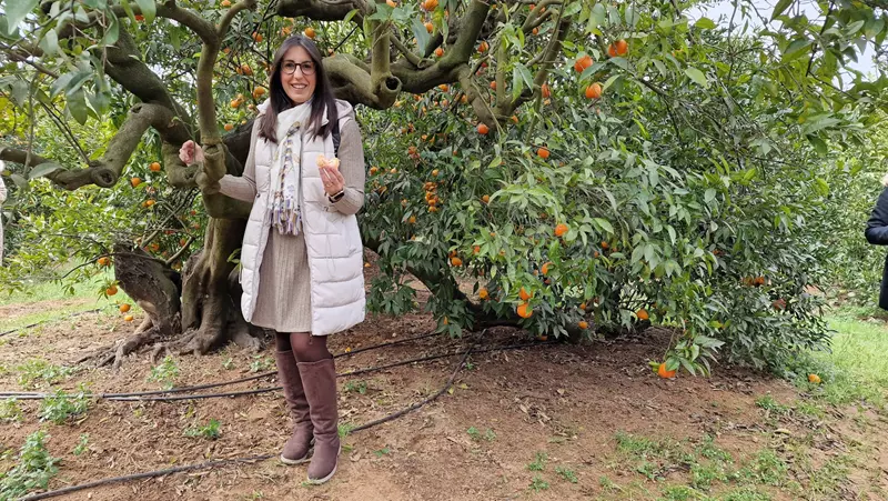 Descubre Carcaixent: una joya oculta en la Ribera Alta