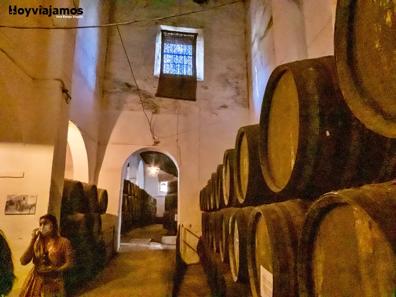 Bodegas, ¿Qué ver en Sanlúcar de Barrameda?, Hoy Viajamos