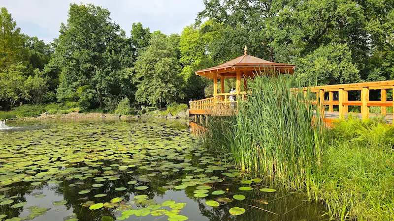 Jardin japones, guia de viaje Wroclaw