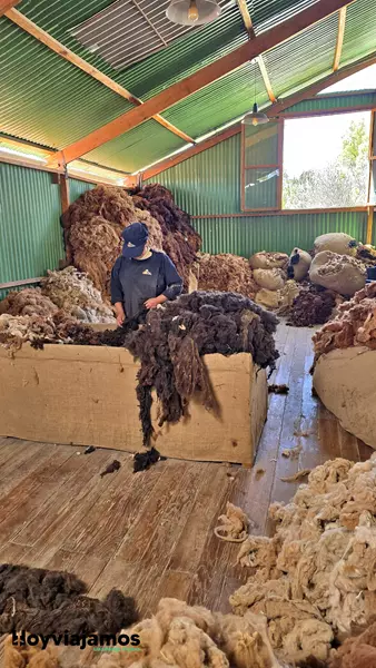 Mundo Alpaca Arequipa