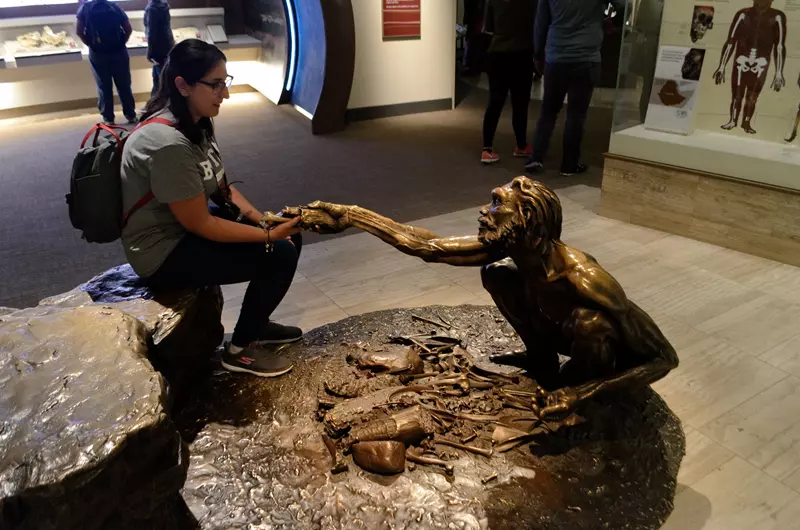 Museo de historia natural, Museos en Washington gratis