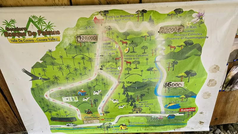 Mapa ruta de trekking Valle del Cocora, Hoy Viajamos