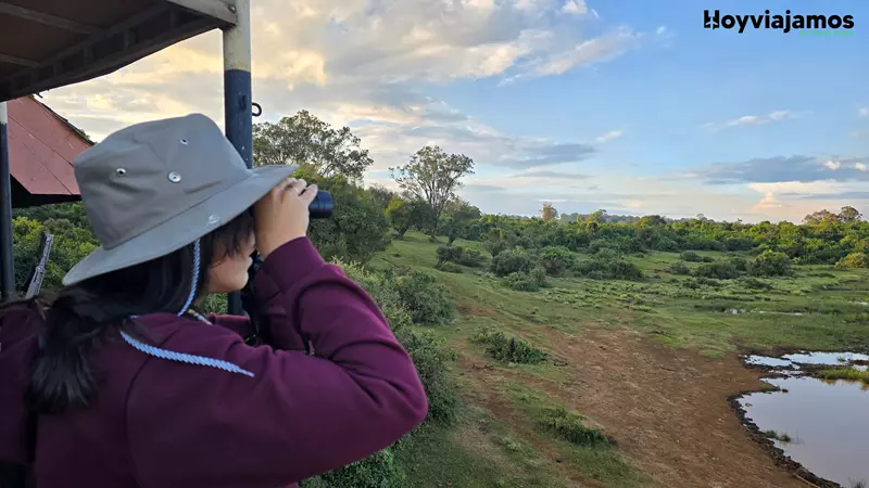 Los binoculares son imprescindibles, Viajar a Kenia por libre,