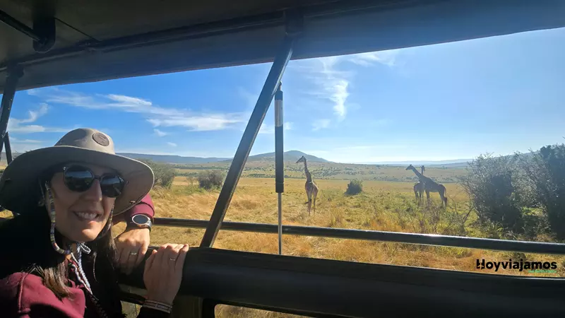 Jirafas en Masai Mara, Viajar a Kenia por libre