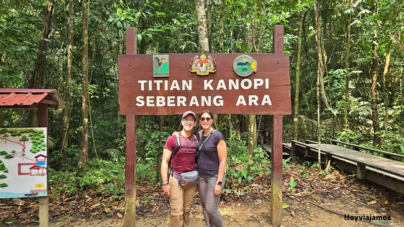 Selva de Taman Negara durante nuestra ruta por Malasia
