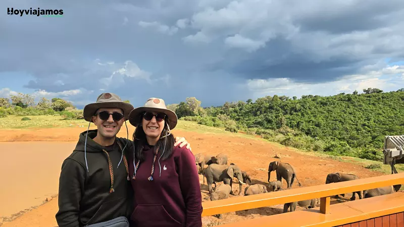 Hotel The Ark, hoy viajamos