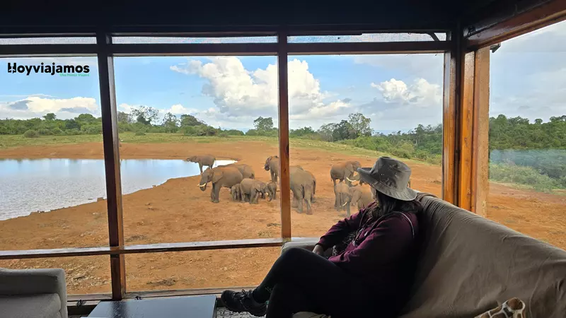 The Ark Lodge, hotel en kenia