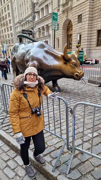 Toro de Wall Street, Nueva York en Navidad