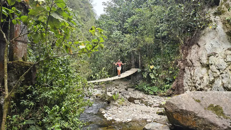 Ruta de trekking Valle del Cocora, Eje Cafetero, Hoy Viajamos