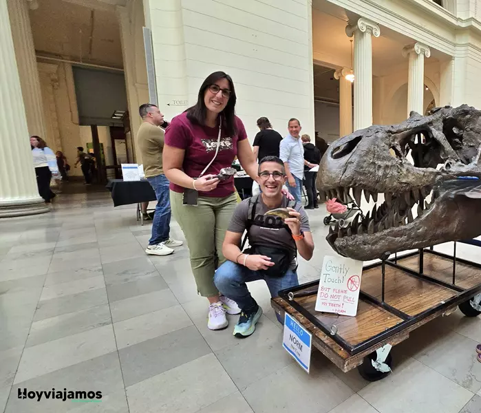 Primer plano del cráneo de un Tyrannosaurus rex expuesto en el Field Museum de Chicago