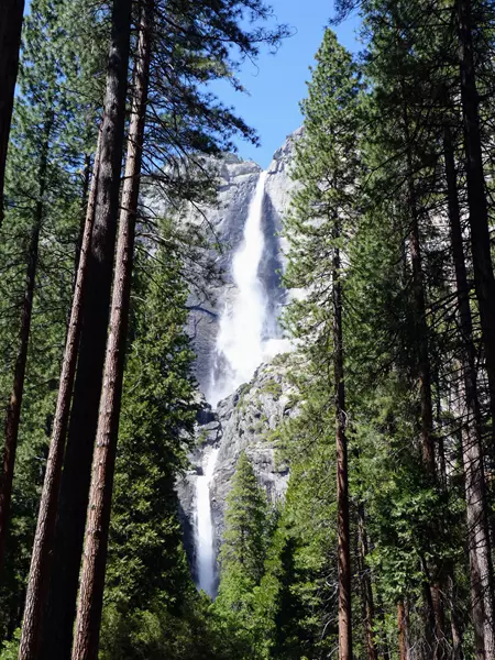 Las cascadas del parque impresionan. ¿Qué ver en Yosemite en un día?